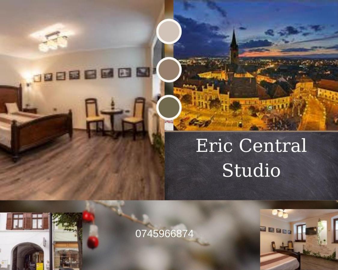Eric Central Studio Sibiu Exterior photo